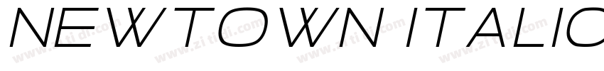 Newtown Italic字体转换